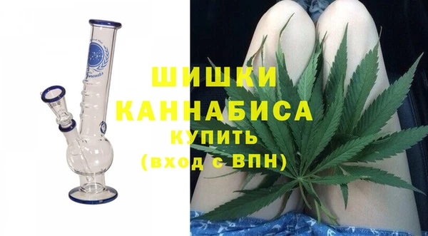 ГАЛЛЮЦИНОГЕННЫЕ ГРИБЫ Покровск