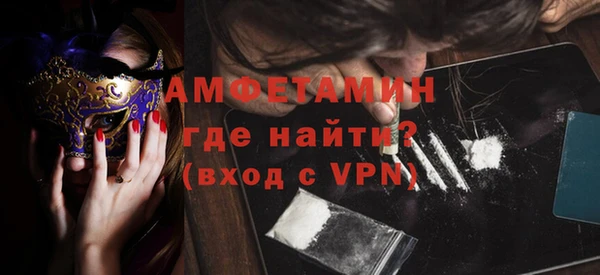 ПСИЛОЦИБИНОВЫЕ ГРИБЫ Грязовец