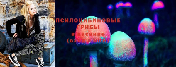 ГАЛЛЮЦИНОГЕННЫЕ ГРИБЫ Покровск