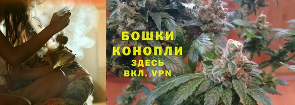 ГАЛЛЮЦИНОГЕННЫЕ ГРИБЫ Покровск