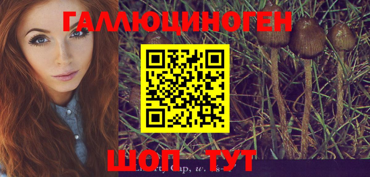 Псилоцибиновые грибы MAGIC MUSHROOMS  Псилоцибиновые грибы GOLDEN TEACHER  Сорочинск  Вход с VPN 