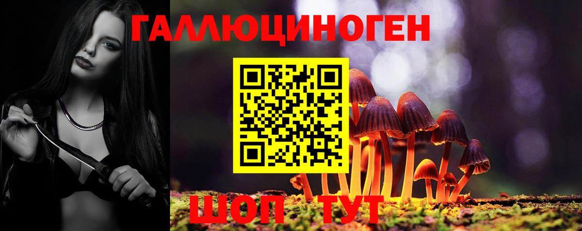 Галлюциногенные грибы Cubensis Сорочинск